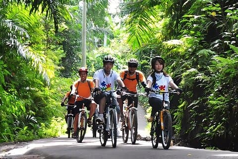 Bali Cycling en Ubud Waterfall Tour