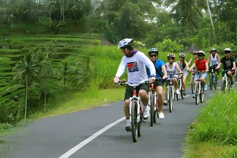 Bali Sykling og Jungle Swing Adventure Experience