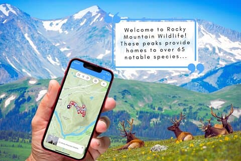 トンネル登山道：スマホ音声ネイチャーツアー