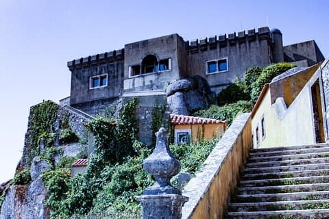 The Mystic Tours - Águas de Cinthya Sacred Roots