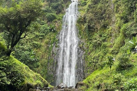 Halbtagestour zum Materuni-Wasserfall und zur Kaffeeplantage