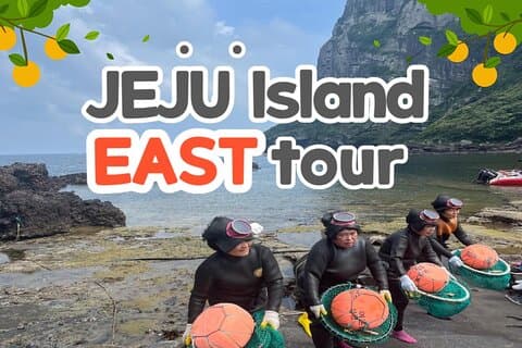 Visite UNESCO de l'île de Jeju EST (frais d'entrée inclus)