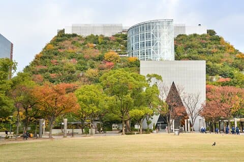 Full Day Private Shore Tour in Fukuoka from Fukuoka Cruise Port