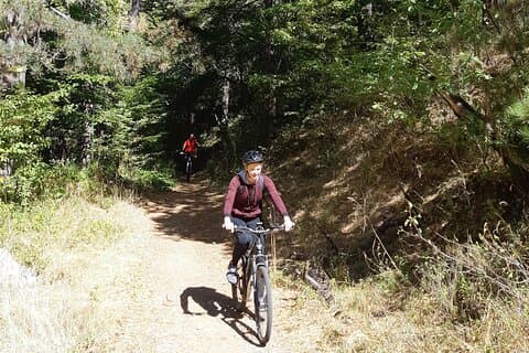 Mountainbike Magic: Vienna's Forest and Fresh Grape Juice