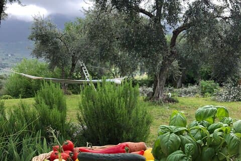Matlagningskurs Italiensk matlagning tillsammans i Palombara Sabina