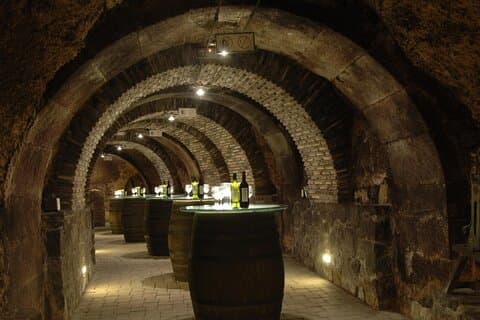 Haro, Laguardia & Two Rioja Wineries - Excursão de um dia saindo de Bilbao