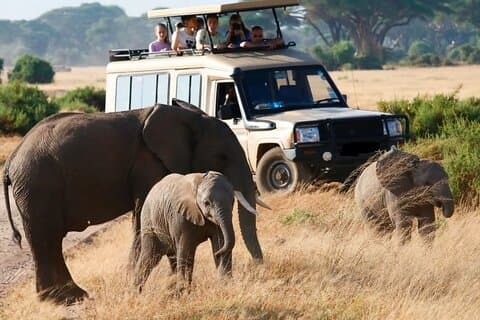 5 giorni alla scoperta della fauna selvatica, degli scenari e della cultura del Kenya