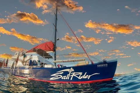 Voile avec tuba et coucher de soleil à Cabo San Lucas