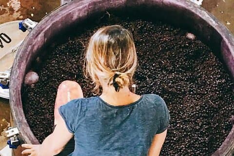 Økologisk & Biodynamisk Vin Eventyr i Mendoza