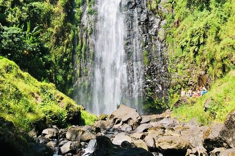 Cascade de Materuni, visite du café et déjeuner chaud pique-nique