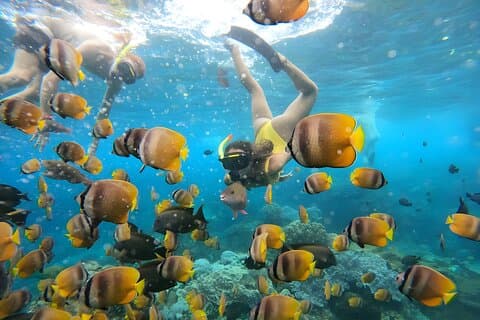 Snorkeling a Nusa Penida con partenza dall'isola di Bali