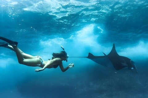 Tour sulla spiaggia dell'isola di Nusa Penida con snorkeling da Bali