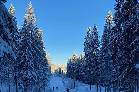 Oslo Cross-Country Skiing with Fireside “Kos”