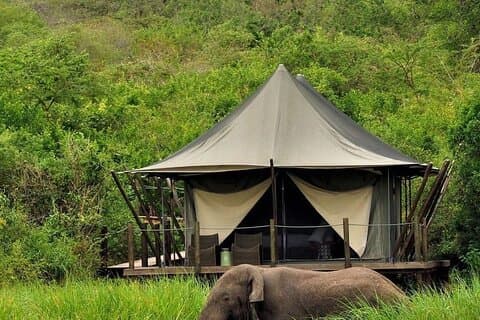 Virunga Cross-Border Expedition