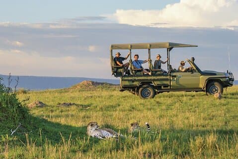 4 dages safarioplevelse: Nairobi Park, bytur og Diani Beach