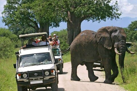 3-daagse Tsavo Oost- en West-safaritour vanuit Nairobi op 4x4 Jeep
