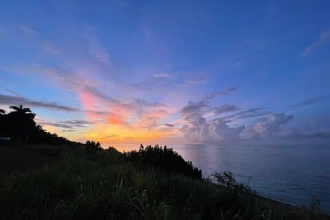 Tarot og te en privat tropisk timeout i Montego Bay