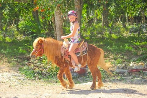 Ridning och Zipline Jungle Adventure