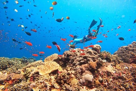 Lembongan Schnorchelbad mit Mantarochen und Inselrundfahrt