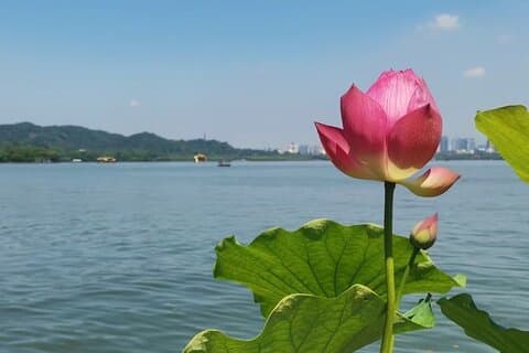 Excursão com tudo incluído ao Templo Lingyin e ao Pagode das Seis Harmonias