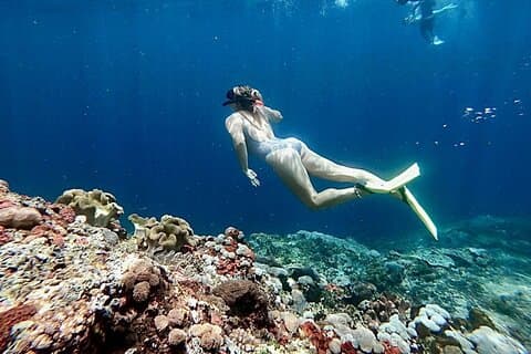 Swim With Manta Rays Lembongan Snorkeling and Day Tour