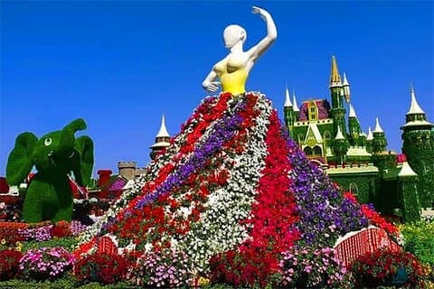 Dubai Miracle Garden Skip the Line Bilhetes