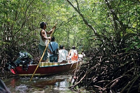 Mangrove Tour på Nusa Lembongan: Kayak, padle og båd
