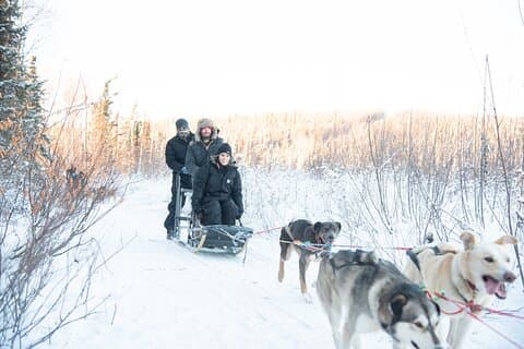 Dogsled and Reindeer Day Trip to Borealis Basecamp