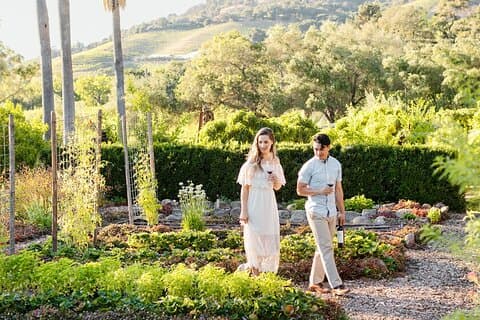 6 heures Sonoma Boutique Wine Tour-Private Black Car, jusqu'à 4 invités