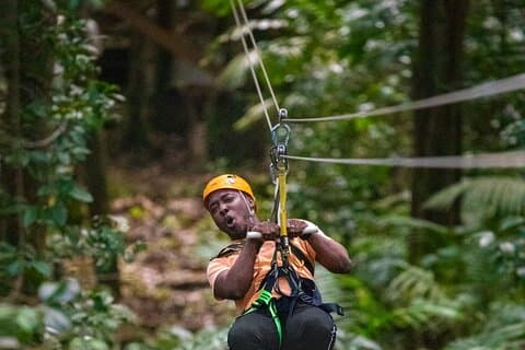 Rainforest Rush: St. Lucia Zip Line Adventure