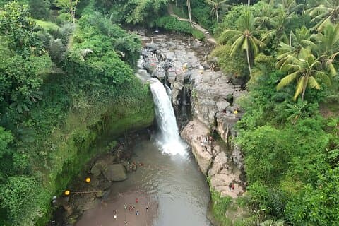 Full-Day Bali Tour to Visit The Best Places in Ubud