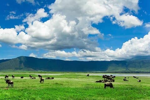 2-daagse safari naar Tarangire National Park en Ngorongoro-krater