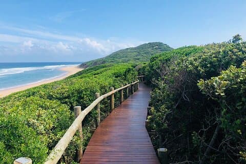 2-daagse tour in Maputo National Park (Maputo Special Reserve)