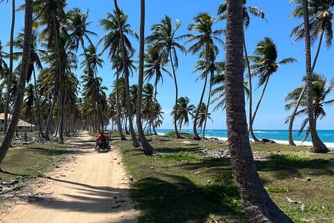 Safari di mezza giornata e ATV o cavalli da Punta Cana