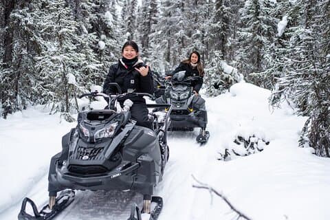 Reindeer and Snowmobile Day Trip to Borealis Basecamp with Lunch