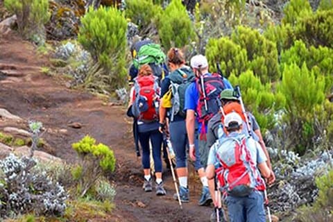 Kilimanjaro-dagtocht vanuit Arusha