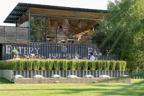 Mittagessen im Restaurant in Victoria Falls