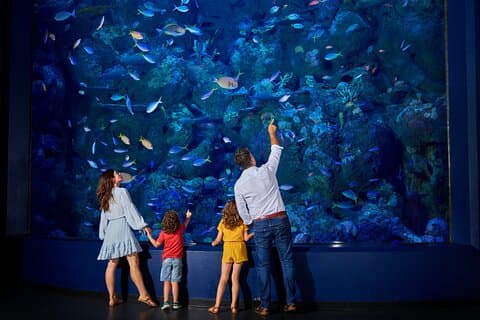 Visite nocturne à l'aquarium