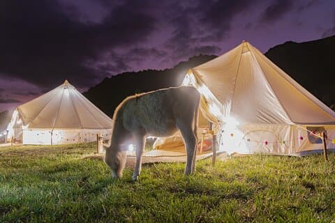 2 dias de glamping andino com moradores locais no Vale Sagrado de Pisac
