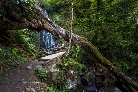 Batumi, Waterfalls & Folklore - A Group Tour from Kutaisi