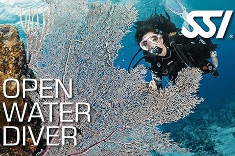 Open Water Course in Koh Samui