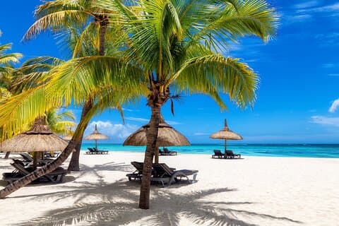 Tour privato di un'intera giornata a Punta Cana dal porto di Cap Cana