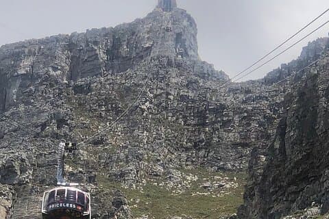 Lille gruppe Table Mountain Penguin Colony og Cape Point Tour