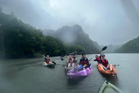 Halvdags 4 timers Kilim Mangrove-kajakkpadling (uten hotellhenting)