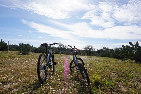 Tour privado de los corchos y las chumberas: visita privada a las fincas de Pepe Aromas