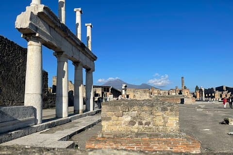 Fra Positano: Pompeji tur med vinsmagning og olivenolie