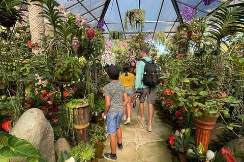 Wandeltocht door de Botanische Tuinen van Puerto Vallarta