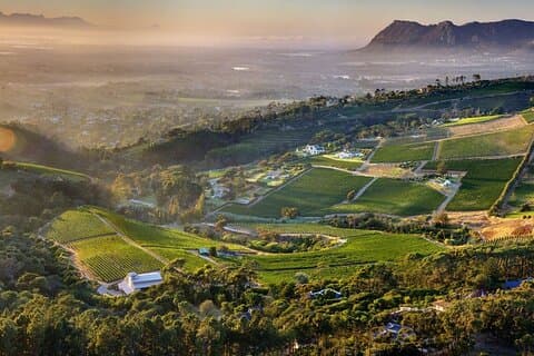 Vinprovning i Constantia Region Kapstaden