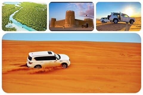 Volledige dag Qatar Noord en woestijnsafari met pick-up
