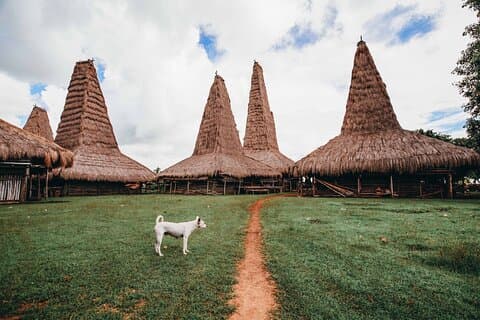 3 Days 2 Nights Explorer Sumba Island
